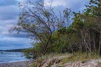 天涯精品帖子整理(天涯经典帖子)