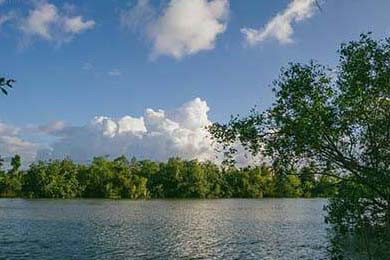 正版论坛资料大全(正版资料大全免费)