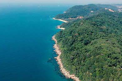 天涯论坛社区(天涯论坛社区登录)